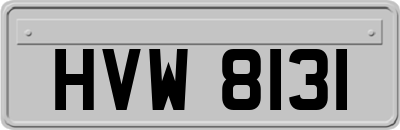 HVW8131