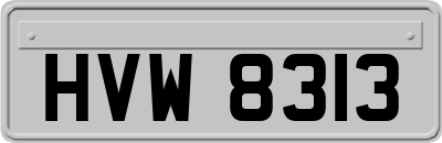 HVW8313