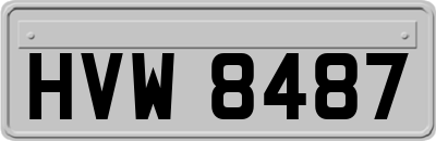 HVW8487
