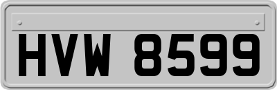 HVW8599