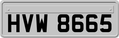 HVW8665