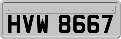 HVW8667