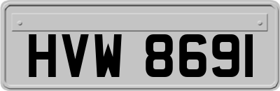 HVW8691