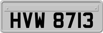 HVW8713