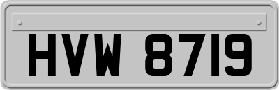 HVW8719