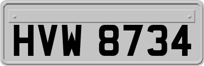 HVW8734
