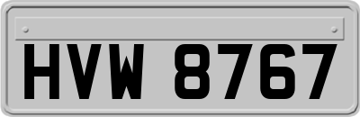 HVW8767