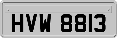 HVW8813