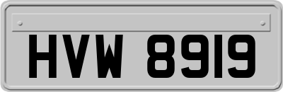 HVW8919