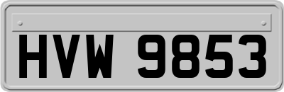 HVW9853