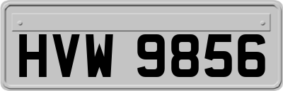 HVW9856