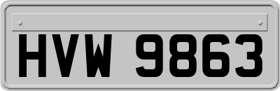 HVW9863