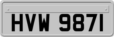 HVW9871