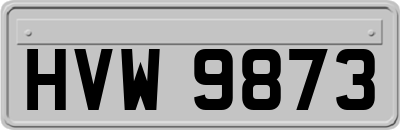 HVW9873