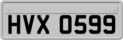 HVX0599