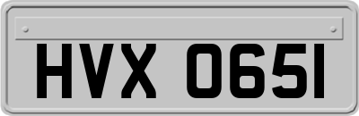 HVX0651