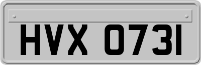HVX0731