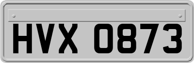 HVX0873