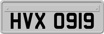 HVX0919