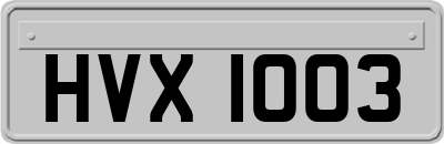 HVX1003