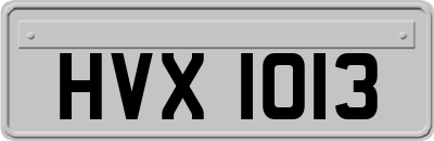 HVX1013