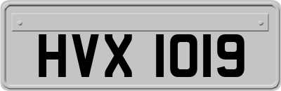 HVX1019
