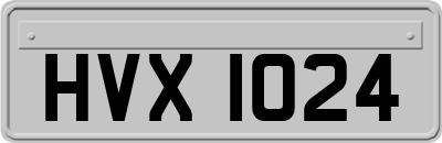 HVX1024