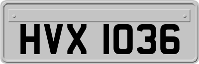 HVX1036