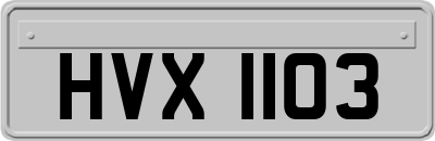 HVX1103