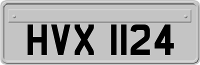 HVX1124