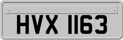 HVX1163