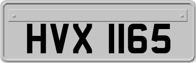 HVX1165