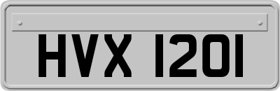 HVX1201