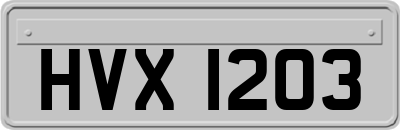 HVX1203