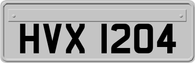 HVX1204