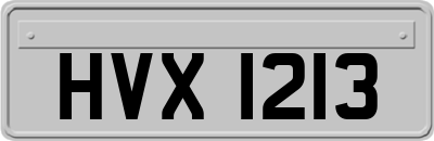HVX1213
