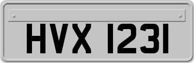 HVX1231