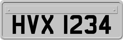 HVX1234