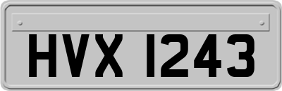 HVX1243
