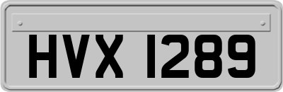 HVX1289
