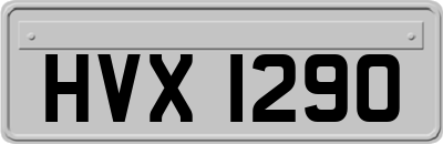 HVX1290