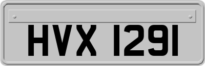 HVX1291