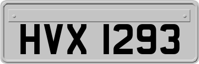 HVX1293