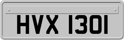 HVX1301