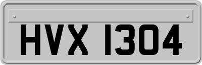 HVX1304