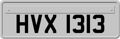 HVX1313