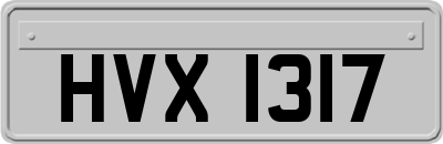 HVX1317