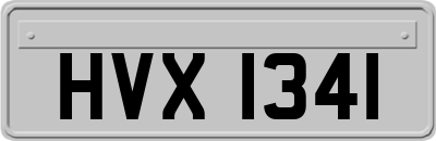 HVX1341