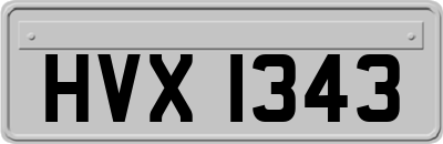 HVX1343