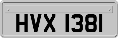 HVX1381
